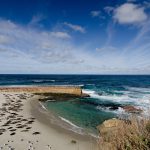 Coastal Environments Projects: La Jolla Children's Pool